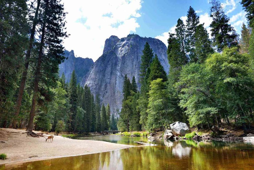 Exploring the Varied Ecosystems of California’s National Parks